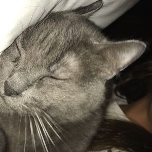 Meet your Posher, Stella